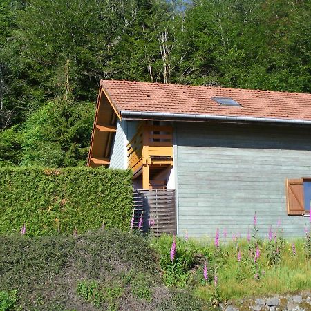 Le Chalet Saint-Nabord Esterno foto